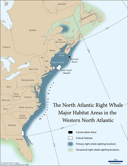 right whale range, western North Atlantic